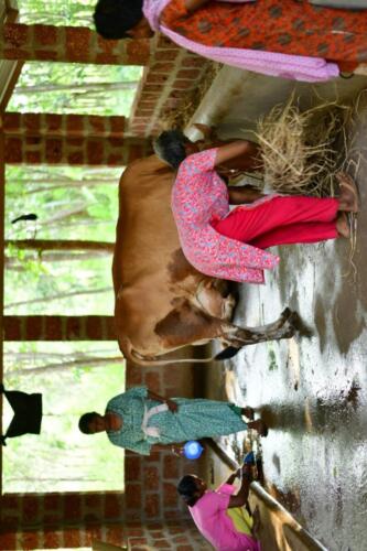 IMG-20190603-WA0015